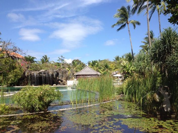 From Bali Whoa to Bali High