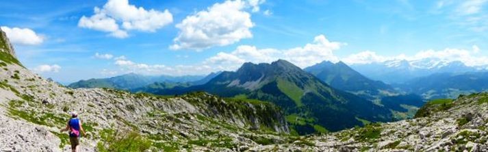 Swiss Bliss